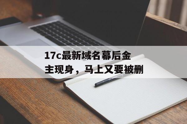 17c最新域名幕后金主现身，马上又要被删